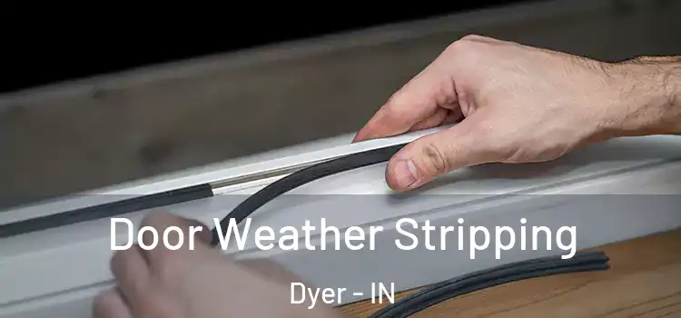 Door Weather Stripping Dyer - IN