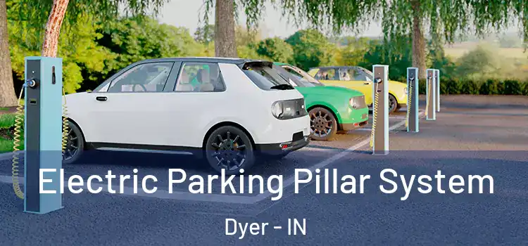  Electric Parking Pillar System Dyer - IN