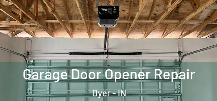  Garage Door Opener Repair Dyer - IN