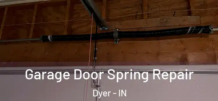  Garage Door Spring Repair Dyer - IN