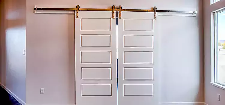 Glass Barn Door with Installation Hardware Kit Dyer