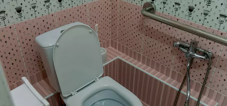 Meeting Diverse Needs With Accessible Restroom Solutions in Dyer, IN