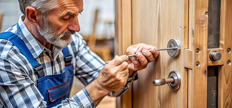 Mortise Replacement Lock Dyer