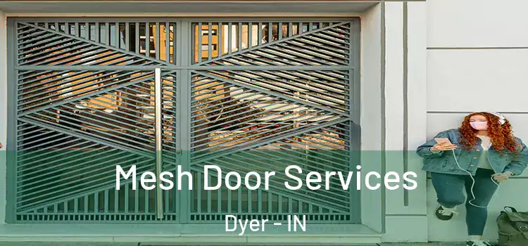  Mesh Door Services Dyer - IN